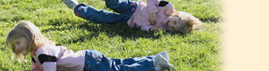 Header image